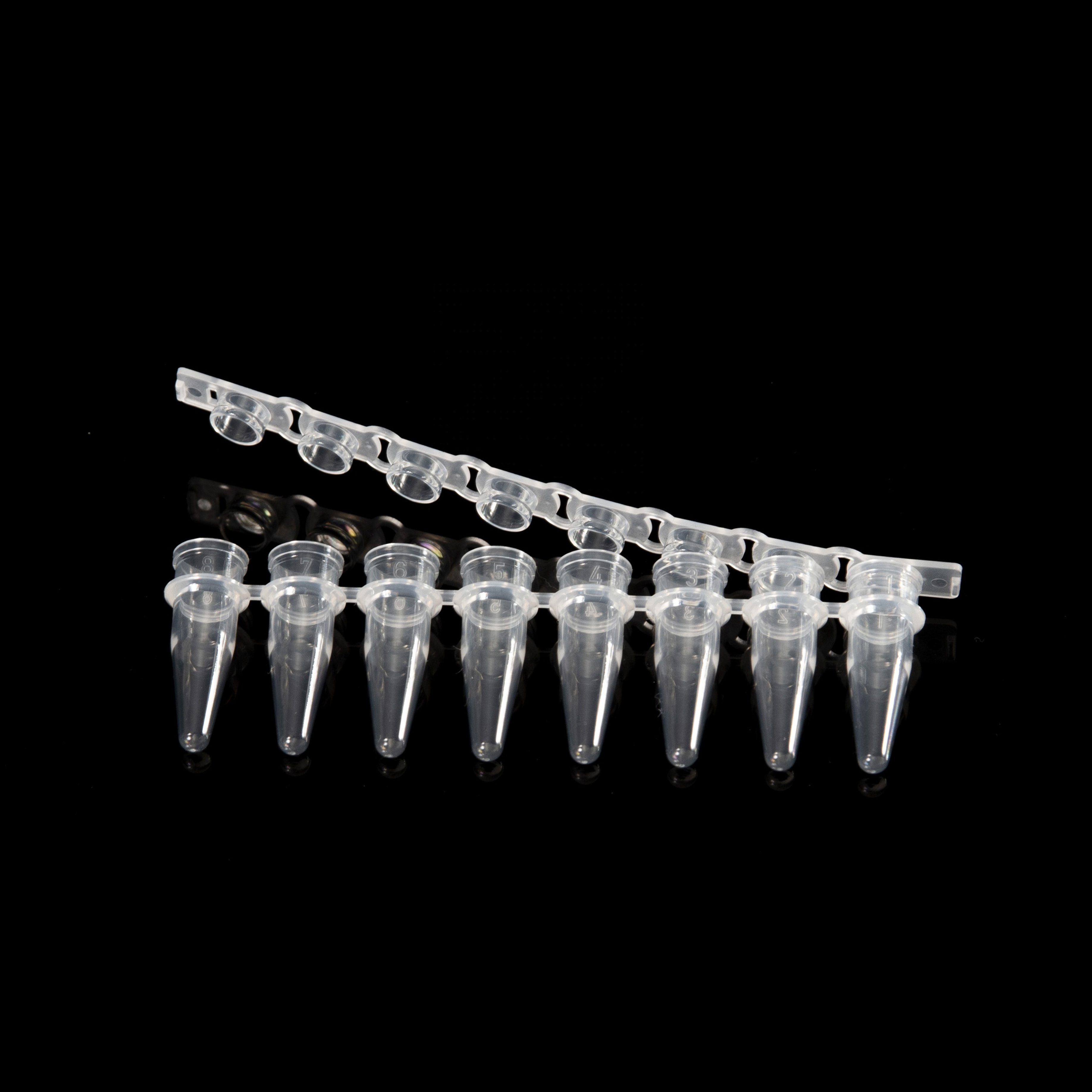 Puntas de pipeta de filtro de laboratorio desechables 10UL 200US 1000UR Paquete de bulk / caja
